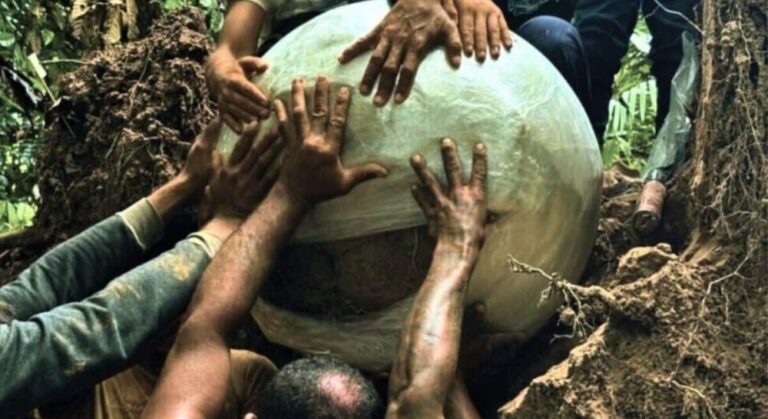 Archäologen entdecken riesige Urnen im Amazonas-Dschungel