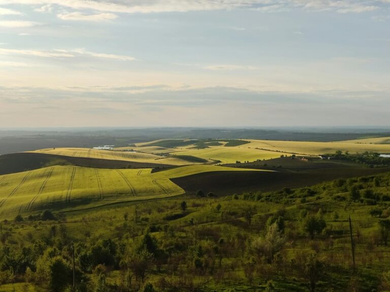 Europäische Planung: Ukraine weiterhin offen für Geschäfte