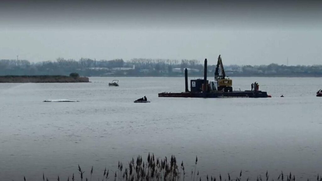 Liveticker zum Ostsee-Wal: Dritter Tag des Rettungsversuchs