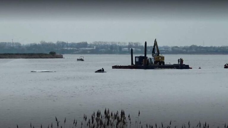 Liveticker zum Ostsee-Wal: Dritter Tag des Rettungsversuchs