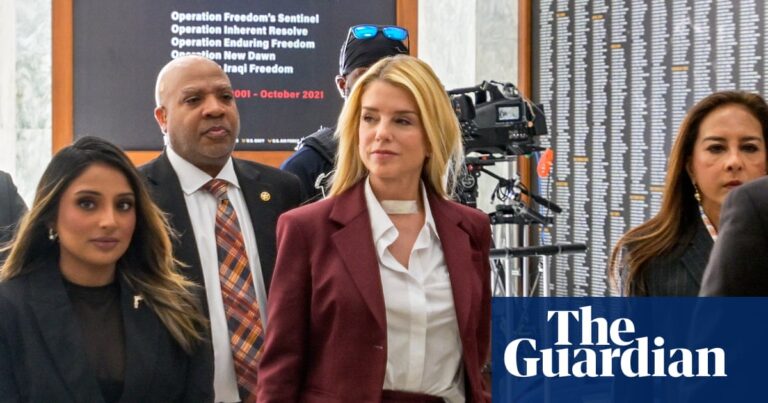 Pam Bondi räumt Fehler bei Epstein-Akten ein