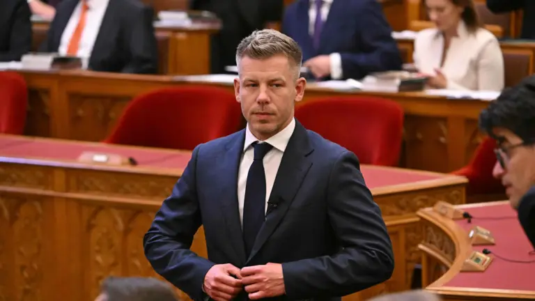 Hungary: Peter Magyar Elected as New Prime Minister