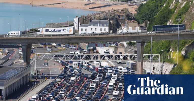 Frankreich setzt EU-Grenzkontrollen in Dover wegen Staus aus