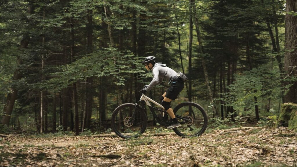 Nordrhein-Westfalen plant Verbot für E-Bikes im Wald