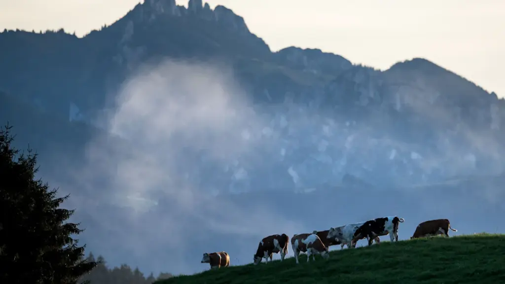 Chiemgauer Alpen: Kinder verlaufen sich während Muttertagsausflug