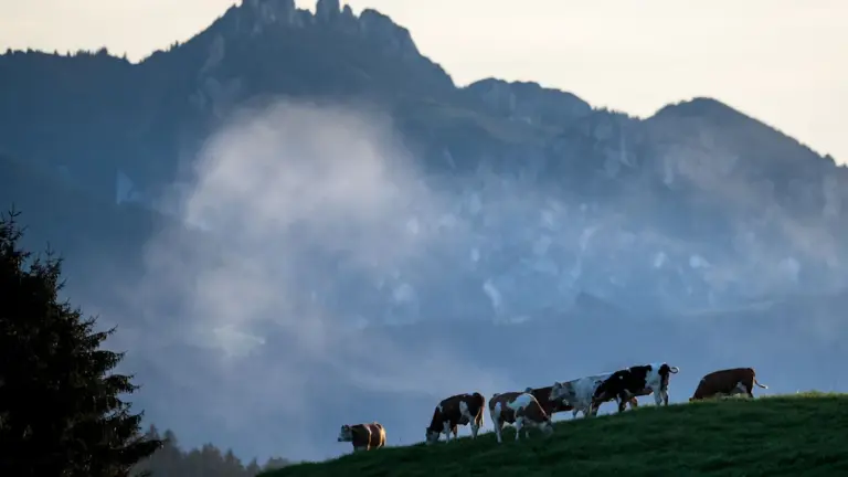 Chiemgauer Alpen: Kinder verlaufen sich während Muttertagsausflug