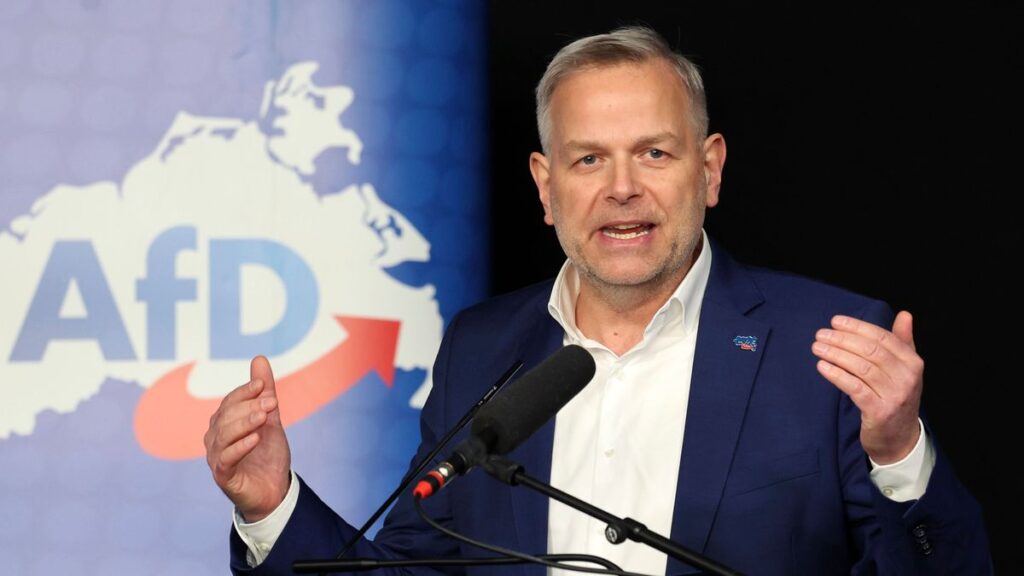 AfD in Mecklenburg-Vorpommern plant Rückführungspolizei bei Wahlsieg