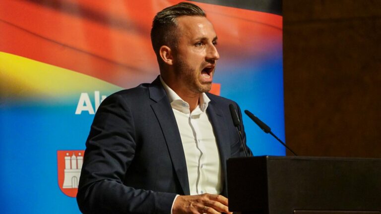 AfD plant Neubesetzung hunderter Behördenstellen in Sachsen-Anhalt