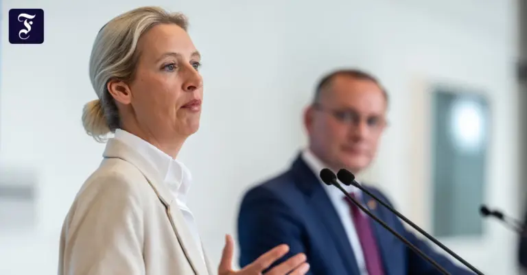 AfD verbreitet Ängste vor Altersarmut und unhaltbare Rentenversprechen