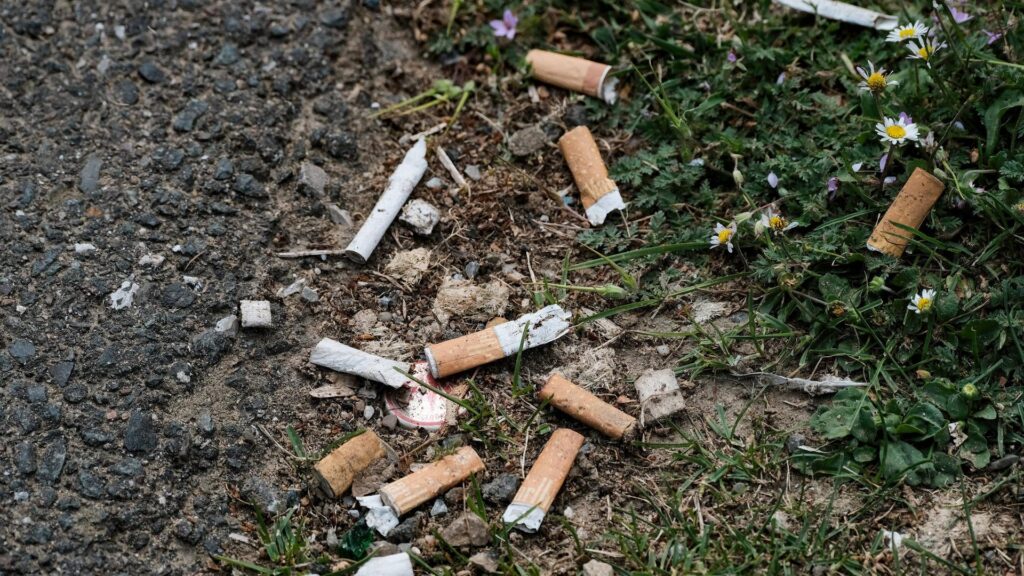 Drogenbeauftragter Streeck: Tabaksteuer deutlich erhöhen