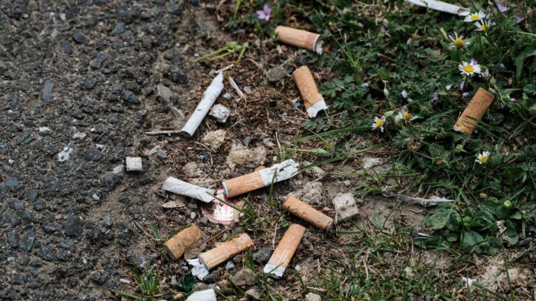 Drogenbeauftragter Streeck: Tabaksteuer deutlich erhöhen