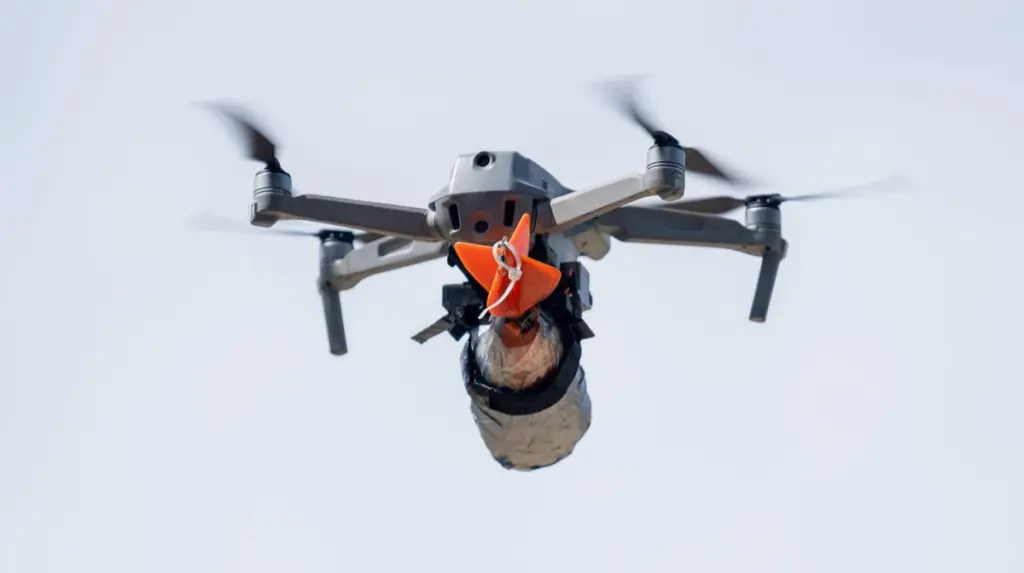 Russian Army Ordered to Intensify Drone Strikes on Civilian Targets in Zaporizhzhia