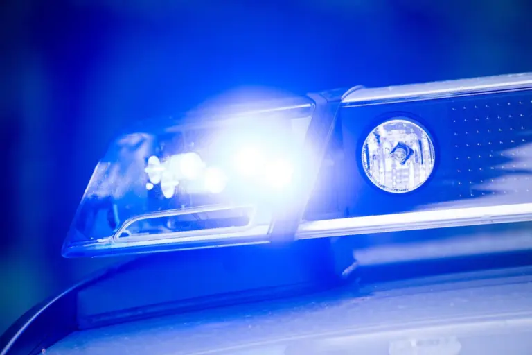 Immer mehr ausgesetzte Haustiere: Meerschweinchen-Fund in Pfarrkirchen