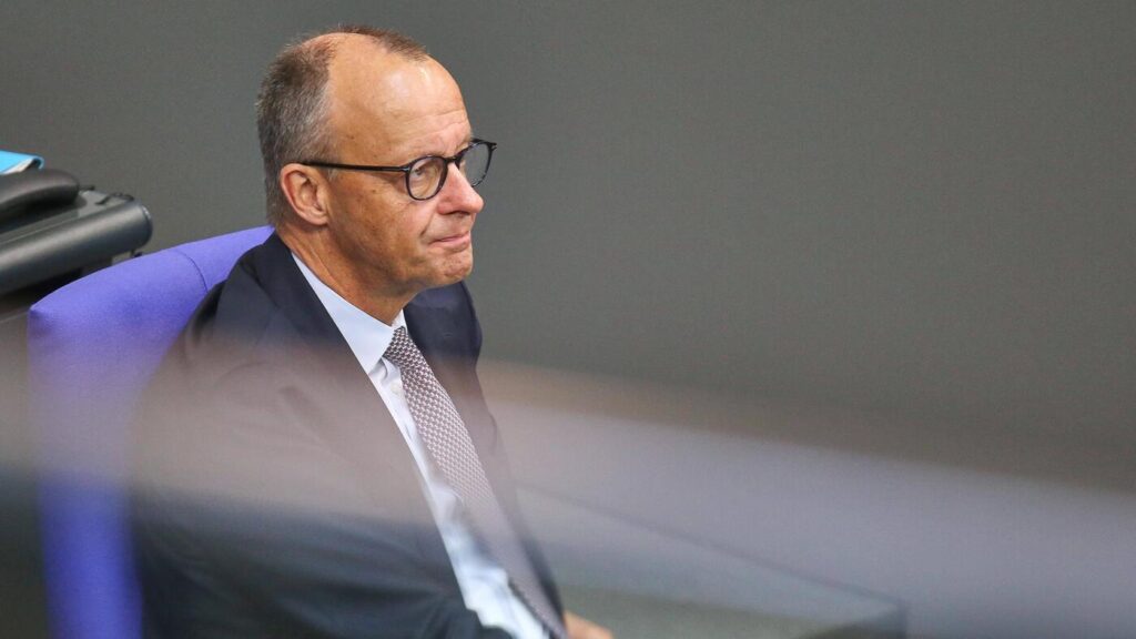 Merz verzichtet auf Anzeigen wegen Beleidigung