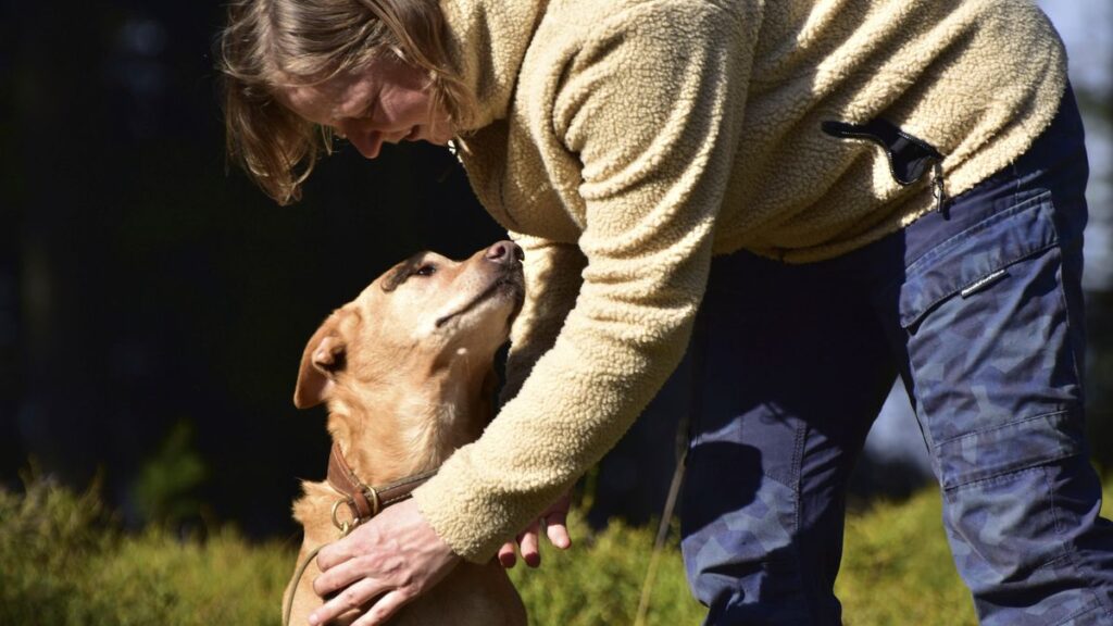 Mensch und Hund: Weltweit erstaunliche Gemeinsamkeiten