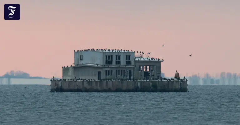 Mini-Insel vor Rügen wird versteigert – mit Vogelkot und Rost