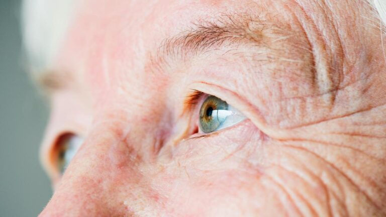 Eastern Commissioner warns of old-age poverty due to planned pension reform