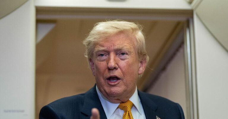 Trump drängt Mitglieder aus US-Wahlkommission