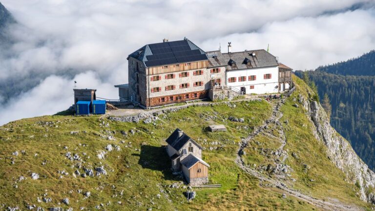 Bettwanzen auf Berghütten: Alpenvereine bitten Wanderer um Mithilfe