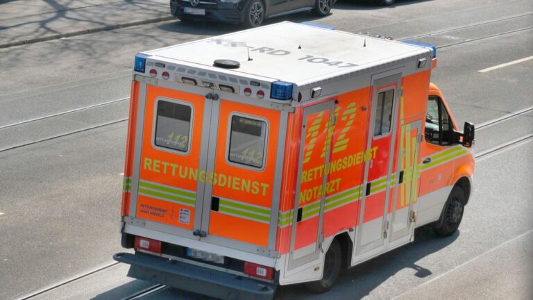 Four-Year-Old Girl Killed by Dog in Saxony-Anhalt