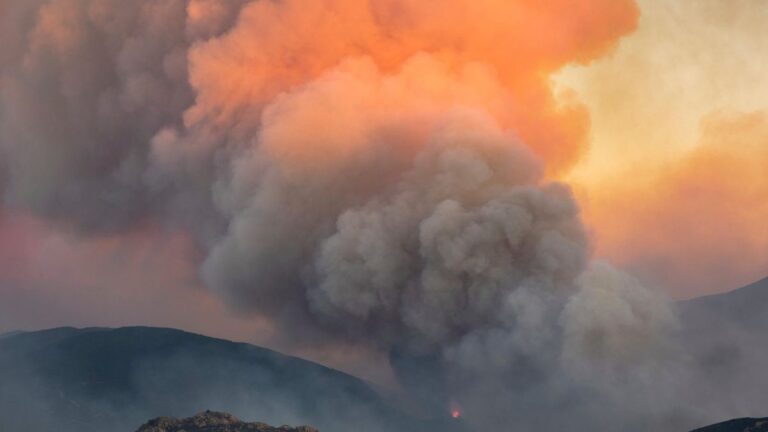 Tour de France: Waldbrandgefahr stoppt Zuschauer bei Etappe
