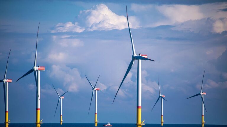 EnBW-Chef fordert Korrektur der Windkraft-Ausbauziele