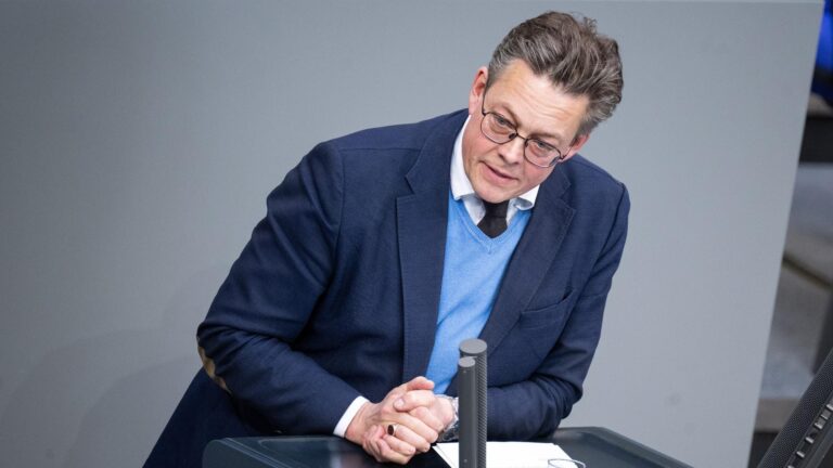 Green Party politician von Notz warns of AfD access to intelligence services