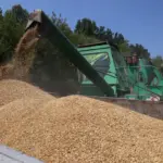 Poland Stands Firm on Ukrainian Grain Import Ban