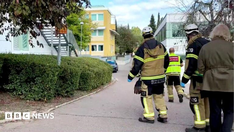 Schwertangriff an schwedischer Schule: Verletzte und Festnahme