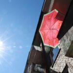 SPD ministers demand climate protection in Basic Law