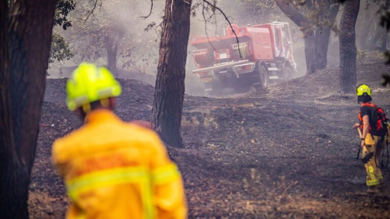 Waldbrand in den Niederlanden: Lage stabil, Kreis Kleve warnt weiter