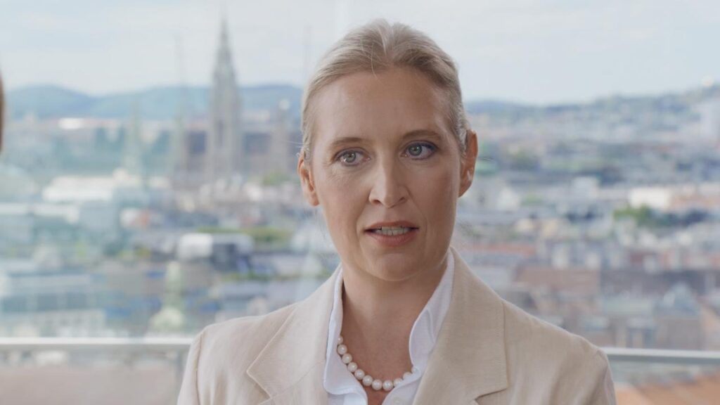 Alice Weidel kritisiert Regierungspolitiker im ZDF-Sommerinterview