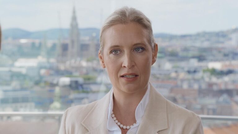 Alice Weidel kritisiert Regierungspolitiker im ZDF-Sommerinterview
