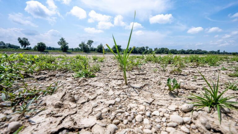 Umweltverbände kritisieren Klimapolitik der Bundesregierung
