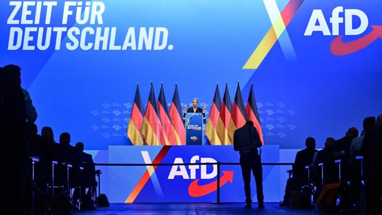 Umfrage: Mehrheit sorgt sich um Demokratie bei AfD-Regierung