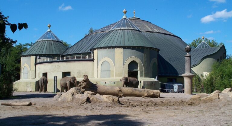 Familie spaziert entspannt im Herbst im Zoo