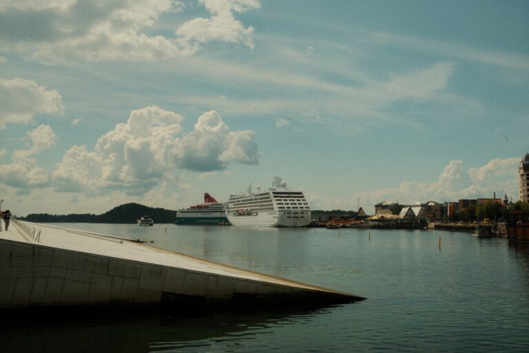 Szenerie des Osloer Hafens mit Kreuzfahrtschiffen unter bewölktem Himmel
