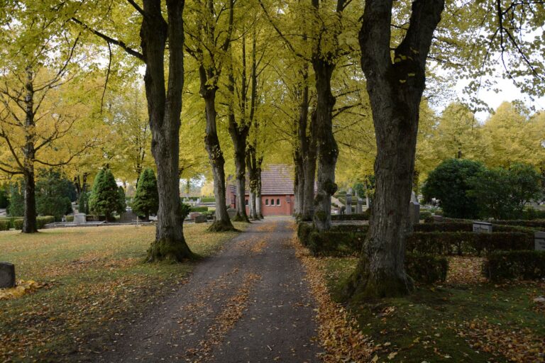 Allerheiligen in München: Was am Sonntag offen ist