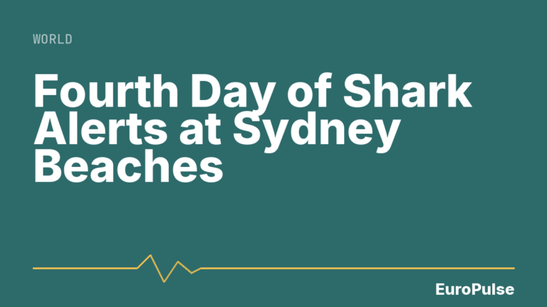 Fourth Day of Shark Alerts at Sydney Beaches