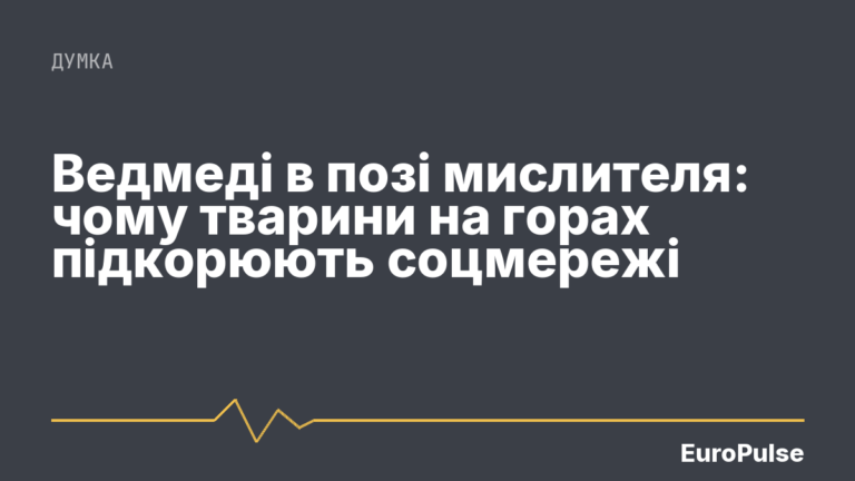 Ведмеді в позі мислителя: чому тварини на горах підкорюють соцмережі