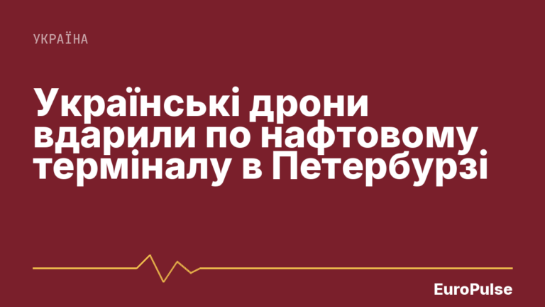 Українські дрони вдарили по нафтовому терміналу в Петербурзі