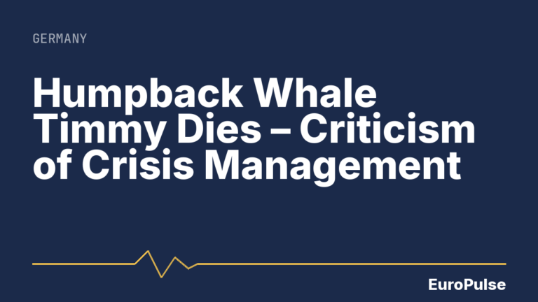 Humpback Whale Timmy Dies – Criticism of Crisis Management