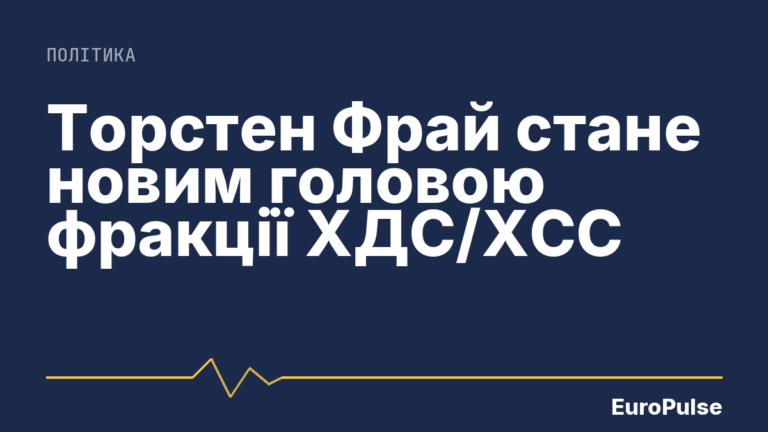 Торстен Фрай стане новим головою фракції ХДС/ХСС