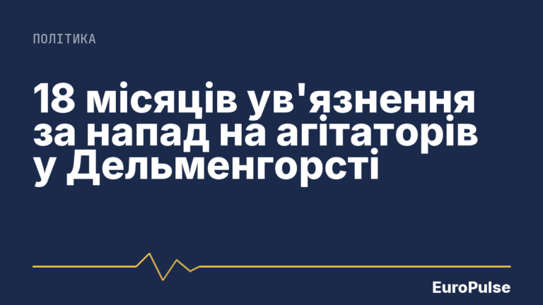 18 місяців ув’язнення за напад на агітаторів у Дельменгорсті