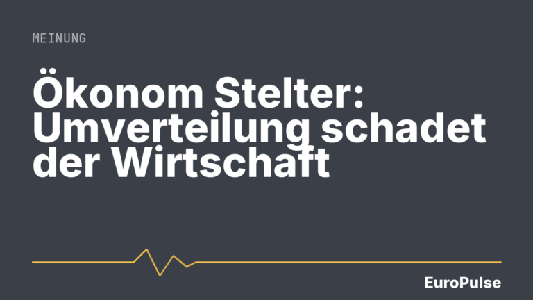 Ökonom Stelter: Umverteilung schadet der Wirtschaft