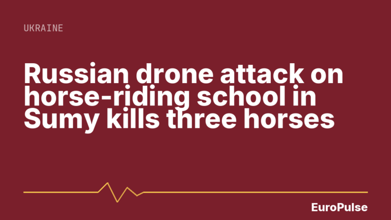 Russian drone attack on horse-riding school in Sumy kills three horses