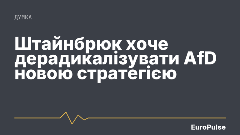 Штайнбрюк хоче дерадикалізувати AfD новою стратегією