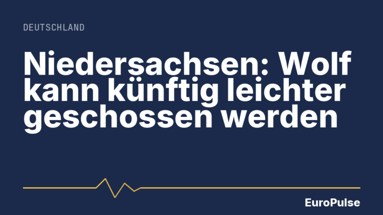 Niedersachsen: Wolf kann künftig leichter geschossen werden