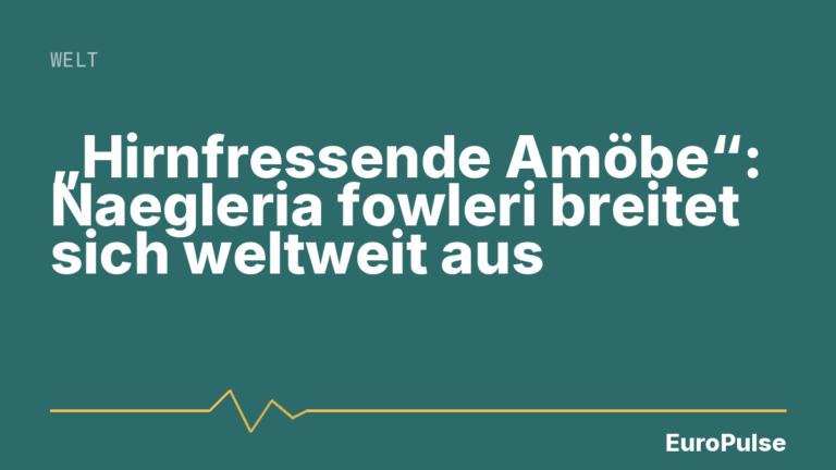 „Hirnfressende Amöbe“: Naegleria fowleri breitet sich weltweit aus