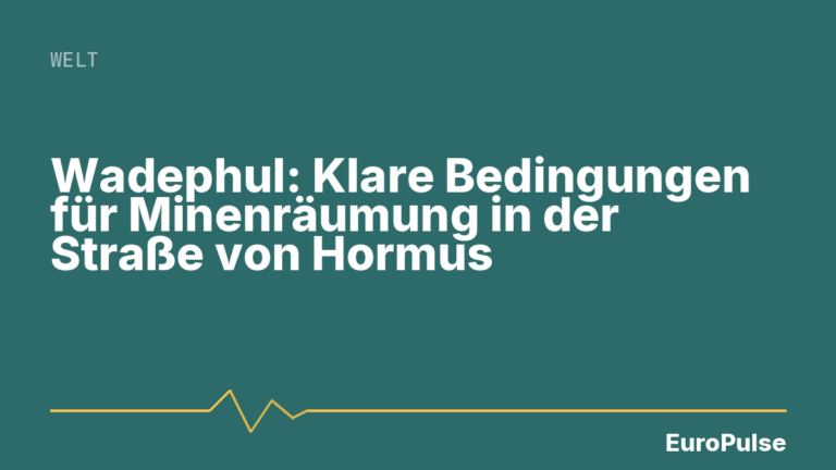 Wadephul: Klare Bedingungen für Minenräumung in der Straße von Hormus